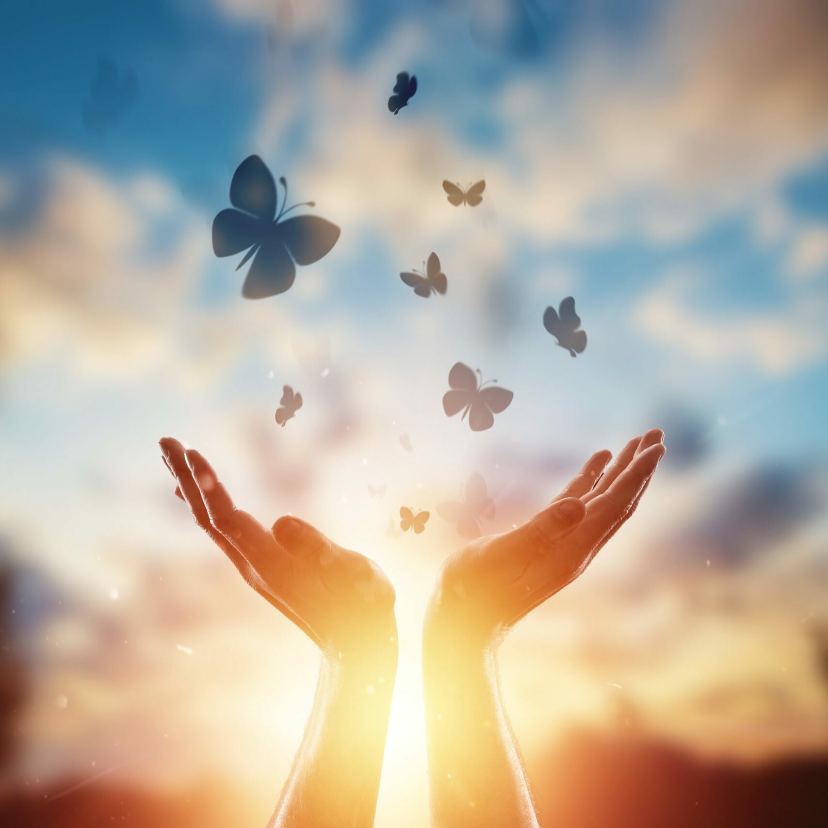Hands close up on the background of a beautiful sunset, a flock of butterflies flies, enjoying nature. The concept of hope, faith, religion, a symbol of hope and freedom. Hands close up on the background of a beautiful sunset, a flock of butterflies flies, enjoying nature. The concept of hope, faith, religion, a symbol of hope and freedom.